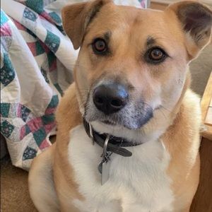 Meet your Posher, Rusty